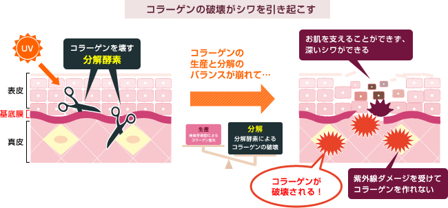 UVA(＝紫外線A波＝長波長紫外線)が目元のしわやタルミの原因